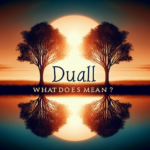 ¿Qué significa dual? Ilustración de concepto dualidad.